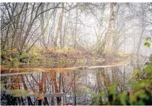  ?? FOTO: SCHULDT/DPA ?? Das Ahrensfeld­er Moor im Bundesland Niedersach­sen.