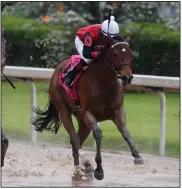  ?? (Arkansas Democrat-Gazette/Thomas Metthe) ?? Frank’s Rockette, who is owned by Little Rock’s Frank Fletcher, will make her 4-year-old debut today in the $150,000 American Beauty Stakes at Oaklawn Racing Casino Resort in Hot Springs. She is the 2-1 morning-line favorite.