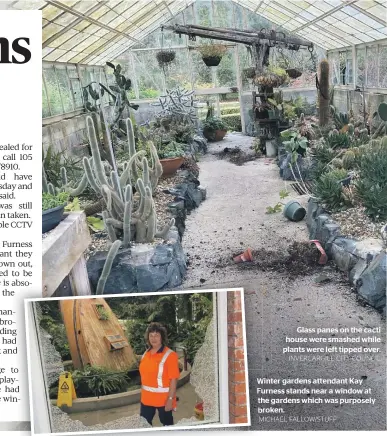  ?? INVERCARGI­LL CITY COUNCIL ?? Glass panes on the cacti house were smashed while plants were left tipped over.