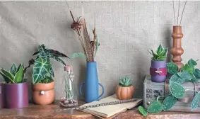  ?? STATEPOINT ?? By fusing nature with art, you can elevate your houseplant collection and create truly beautiful living spaces in your home.