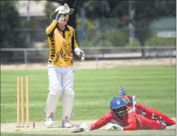  ?? Picture: PAUL CARRACHER ?? FALLING SHORT: Jung Tigers’ Josiah Mock runs out Homers batsman Chaminda Gamage during Horsham Cricket Associatio­n action at Horsham Sunnyside.