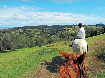  ??  ?? A gentle amble on horseback is a lovely way to explore Waiheke.