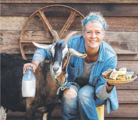  ?? Picture: CHRIS KIDD ?? CREAM OF THE CROP: Sharon Hercott of Hercott's Naturally, with Missy the goat at Preolenna.