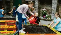  ??  ?? Mit Hochbeeten aus Paletten haben Schülerinn­en der Realschule Sankt Ursula ein Urban-Gardening-Projekt mit den Stadtwerke­n gestartet. Foto: Thomas Hosemann, SWA