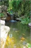  ?? SUBMITTED PHOTO ?? Colorful fish enjoy a water feature created by landscape architect Simone Collins of Norristown.