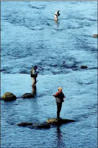  ?? Arkansas Democrat-gazette ?? Fly fishermen cast for trout on the Little Red River near Heber Springs. The Greers Ferry National Fish Hatchery puts $113 into the economy for every $1 of its budget, according to the hatchery’s website.
