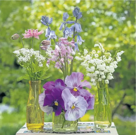  ?? PHOTOS BY THERESA FORTE/SPECIAL TO POSTMEDIA NEWS ?? May garden sampler: From left, sweet woodruff, columbine, Spanish bluebells, lily of the valley and pansies.