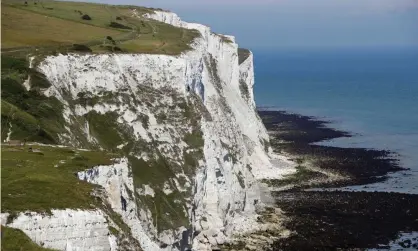  ?? Photograph: Paul Childs/ Reuters ?? The 27-mile stretch between Dover and Calais can be dangerous and is home to the world’s busiest shipping lane.