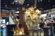  ?? HUMANE SOCIETY OF THE UNITED STATES VIA AP ?? A video recorded by animal welfare activists shows vendors at a recent trophy-hunting convention promoting trips to shoot captive-bred lions in Africa.