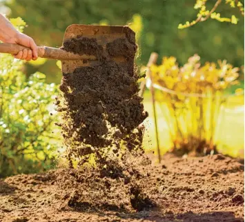  ?? Foto: alexin21, Fotolia.com ?? Rasen mähen, Unkraut jäten und Beete umgraben – das sind die Aufgaben des Mieters, wenn diesem im Mietvertra­g die Garten pflege zugewiesen ist.