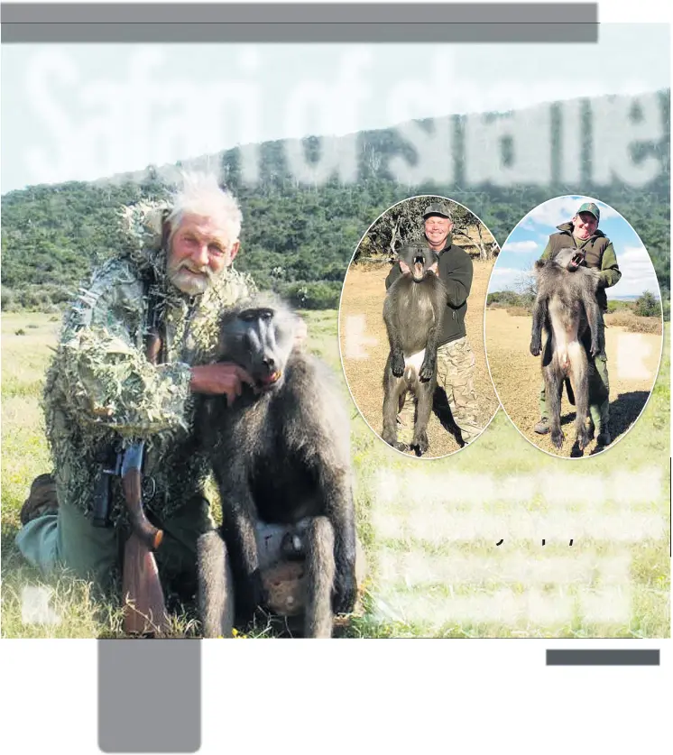 They share 90 per cent of our DNA. Hunters are killing our evolutiona ...