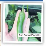  ??  ?? Dan Drewett’s chillis