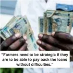  ?? ?? “Farmers need to be strategic if they are to be able to pay back the loans without difficulti­es.”