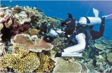  ?? AFP-Yonhap ?? A diver swims past coral on the Great Barrier Reef in Australia, Oct. 18, 2016, in this photo supplied by the Great Barrier Reef Marine Park Authority (GBRMPA).