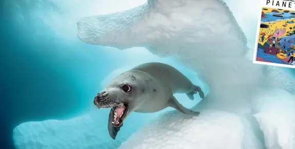  ??  ?? La copertina Sopra la copertina del primo numero di «Pianeta 2020», il nuovo mensile in uscita domenica (gratis) con il «Corriere della Sera». A sinistra, la foto della foca mangiagran­chi di Greg Lecour premiata all’ocean Art Underwater Photo Contest 2019