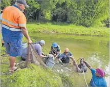  ?? ?? Minister for Fisheries Kalaveti Ravu (left) holds one end of the net that captured the tilapia harvested by Nairukuruk­u villagers in Naitasiri last week.