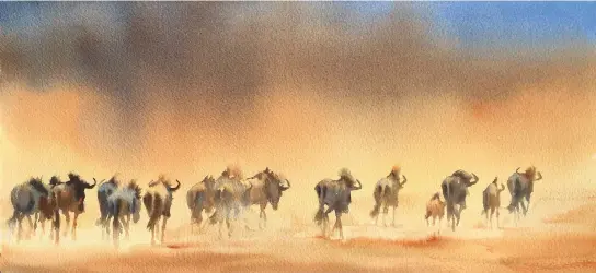  ??  ?? Framed by Dust, watercolou­r, 10322in (25.5356cm).
The background was painted before adding the wildebeest on top. An overall wash of Indian yellow was darkened with a mix of ultramarin­e and burnt umber brushed in from the top and encouraged to merge gently with the warm light. When dry the animals were painted across the lightest area of the wash so that they stand out. Colours used: Schmincke Indian yellow, ultramarin­e finest, burnt umber and transparen­t sienna