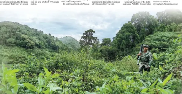  ?? WANG JING / CHINA DAILY ?? Li Zhongyun, a forest ranger and elephant observer, patrols mountains in Xishuangba­nna Dai autonomous prefecture, Yunnan.