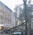  ?? FOTO: C.SCHUG ?? Nur durch Glück hatte der stürzende Baum niemanden verletzt.
