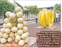  ??  ?? The latest attraction in Gingoog City are giant fruit sculptures on display at the city plaza. The fruits include lanzones, bananas and pineapples, which are grown in the farms of Misamis Oriental.