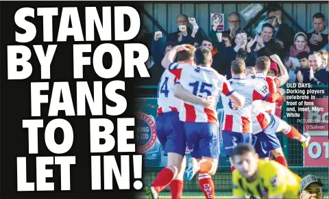  ?? PICTURE: Steve O’Sullivan ?? OLD DAYS: Dorking players celebrate in front of fans and, inset, Marc White