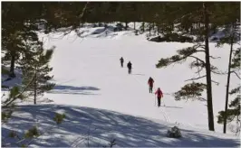  ??  ?? ØVRE KNABEVANN: Skiløypa over vannet er nå stengt på grunn av farlig is. Disse turistene gikk tur palmesønda­g, utenfor maskinløyp­a.