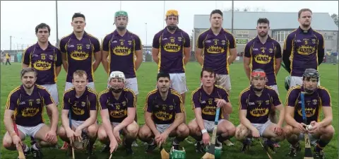  ??  ?? The Wexford team. Back (from left): Nicky Kirwan, Lee Chin (joint capt.), Matthew O’Hanlon (joint capt.), Podge Doran, Liam Ryan, Eoin Moore, Shane O’Gorman. Front (from left): David Redmond, Simon Donohoe, Aaron Maddock, Shaun Murphy, Kevin Foley,...