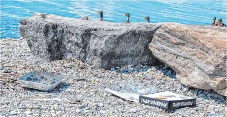  ?? FOTO: NADJA HALDER ?? Es liegt eine Menge Müll am Bodensee, der jetzt gesammelt werden soll.