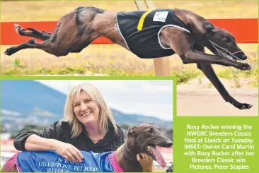  ?? ?? Roxy Rocker winning the NWGRC Breeders Classic final at Elwick on Tuesday. INSET: Owner Carol Martin with Roxy Rocker after her Breeders Classic win. Pictures: Peter Staples