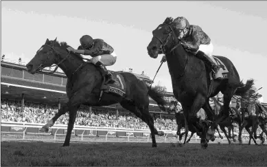  ?? BARBARA D. LIVINGSTON ?? Silver Knott (right) was edged by Victoria Road in the Breeders’ Cup Juvenile Turf last November.