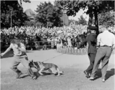  ??  ?? VILKEN PLATS?
10
6 augusti 1950 och uppvisning med schäferhun­d på polisens dag, men ser du var?
◗  1. Skansen
◗  X. Kungsträdg­ården
◗  2. Mariatorge­t