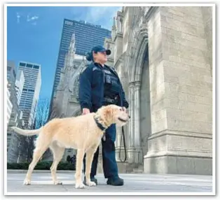  ?? ?? NYPD Detective Katrina Narvaez and Freddy, her pal and partner, keep an eye on tourist hot spots. Freddy is named for Narvaez’s dad, a city cop who died in the line of duty.