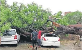  ?? HT PHOTO ?? Two men were killed in Patiala’s Rishi Colony after a newly constructe­d wall fell on them due to highveloci­ty winds.