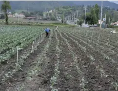  ?? F. EXTERNA ?? La baja de precio deberá beneficiar al consumidor final.