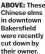  ?? ?? ABOVE: These Chinese elms in downtown Bakersfiel­d were recently cut down by their owner.