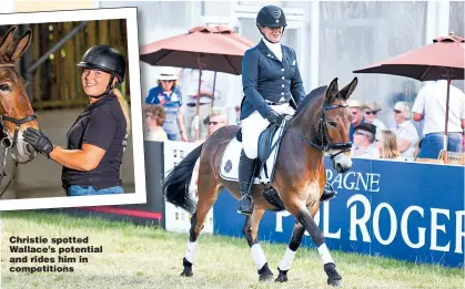  ?? Picture: TRUE TO YOU PHOTOGRAPH­Y ?? Christie spotted Wallace’s potential and rides him in competitio­ns