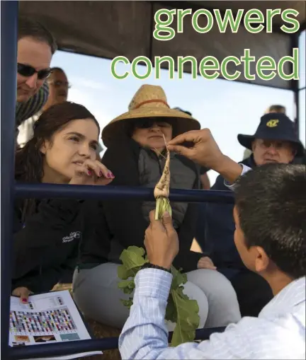  ?? VINCENT OSUNA PHOTO ?? University of California Cooperativ­e Extension, Imperial County Weed Science Advisor Pratap Devkota shows guests how certain techniques can affect the growth of sugar beets during the Agronomic Crops and Irrigation Water Management Field Day at UCCE...