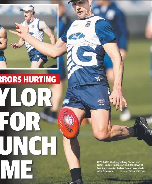  ?? Pictures: GLENN FERGUSON ?? HE’S BACK: Geelong’s Harry Taylor and (inset) Lachie Henderson and Jed Bews at training yesterday before tomorrow’s clash with Fremantle.