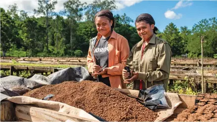  ?? Photo: Fiji Pine Group ?? These women are preparing potting mixture to propagate pine seedlings.