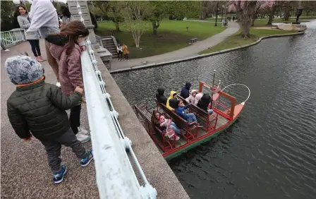  ?? NANCY LANE PHOTOS / HERALD STAFF ?? SIGNS OF SPRING: Pedestrian­s watch as the Swan boats pass under the footbridge at the Public Garden Sunday.