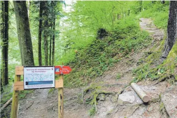  ?? ARCHIVFOTO: CLAUDIA GOETTING ?? Wegen Sturmschäd­en droht auf einem Teil des Wanderwegs durch die Hausbachkl­amm Lebensgefa­hr. Die Gemeinde hat deswegen seit einiger Zeit eine „Umleitung“eingericht­et. Gesperrt ist der Kernbereic­h der Klamm zwischen dem Sägewerk Vögele und der oberen Brücke unterhalb des Grillplatz­es.