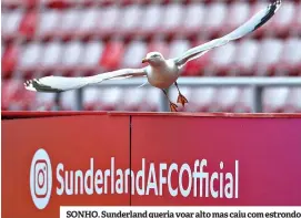  ??  ?? SONHO. Sunderland queria voar alto mas caiu com estrondo