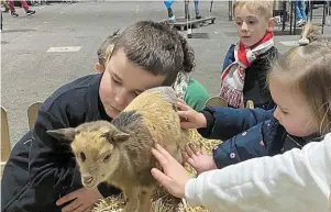  ?? | PHOTO : OUEST-FRANCE ?? Le succès fou de la chèvrerie des Mili-toys, l'élevage de chèvres miniatures à Milizac-Guipronvel, est l'un des 80 élevages présents sur le 9e Agri-Deiz, au parc de Penfeld, à Brest.