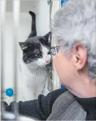  ??  ?? Nash, left, has a soft spot in her heart for troubled and difficult felines. She is pictured with Peter.