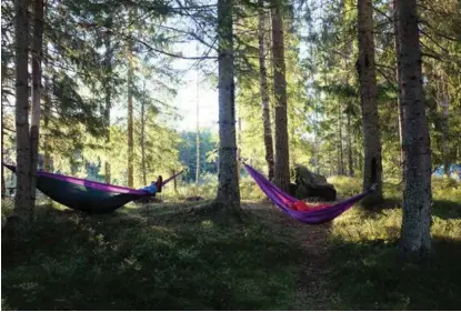  ?? FOTO: SYNNE KVAM/NORSK FRILUFTSLI­V ?? Hvis vaeret tillater det, ta med hengekøye og sov under åpen himmel.