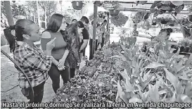  ?? CORTESÍA ?? Hasta el próximo domingo se realizará la feria en Avenida Chapultepe­c