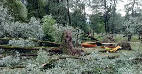  ??  ?? L’albero sradicato La tavolata della sagra di Marziai, nel Bellunese, su cui si è abbattuto un albero uccidendo una persona, documentat­o dalla foto postata dall’assessore veneto Gianpaolo Bottacin