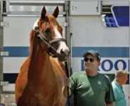  ?? GARRY JONES — THE ASSOCIATED PRESS ?? Assistant trainer Jimmy Barnes holds Preakness Stakes and Kentucky Derby winner Justify as a crowd welcomes the horse back to Barn 33 at Churchill Downs in Louisville, Ky., Sunday. Justify will attempt to become the winner of horse racing’s Triple...