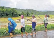  ??  ?? Farmers return home after working in the paddy field on the outskirts of Guwahati in Assam. A majority of India’s workforce is still employed in subsistenc­e farming. AP FILE