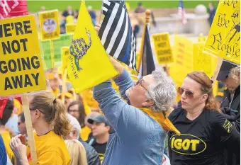  ?? RICH SAAL/THE STATE JOURNAL-REGISTER ?? Dave Fitzgerald of Girard, Ill., waves flags while listening to speakers during the annual IGOLD (Illinois Gun Owners Lobby Day) rally in Springfiel­d, Ill., in April.